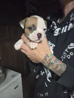 processed/f22c688b-749e-49be-a99b-fea38cd0af50/listing/9c4cc0f8-a596-4c43-bcd2-06eb68b64410/d5994c07-82fc-4295-beab-7e693abcd862