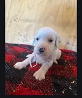 processed/f22e2a9b-5332-4db8-8590-408eab98032d/listing/062e26f3-3fd8-4a8e-97fb-735dc1974329/843d9d1f-dc46-437f-826f-ff1580e9ad8b