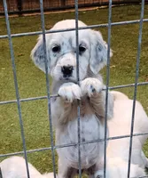 processed/f22e2a9b-5332-4db8-8590-408eab98032d/listing/062e26f3-3fd8-4a8e-97fb-735dc1974329/a9bb1030-6602-47ce-b098-4aa413a550dc