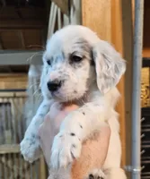 processed/f22e2a9b-5332-4db8-8590-408eab98032d/listing/556f7979-eeb8-4ceb-a714-5829124206ab/44095734-de81-40b2-9725-3fbc9a12663a