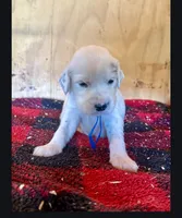 processed/f22e2a9b-5332-4db8-8590-408eab98032d/listing/556f7979-eeb8-4ceb-a714-5829124206ab/e4ff88f1-2071-4114-9fa6-ed71f5eec1a2