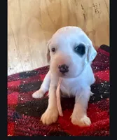 processed/f22e2a9b-5332-4db8-8590-408eab98032d/listing/59df5e49-fb37-43f9-a256-e4fce4f1c663/c395f75a-772e-4bb1-b9dd-a95a5ad6b19c