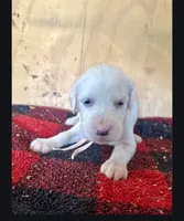 processed/f22e2a9b-5332-4db8-8590-408eab98032d/listing/71b69723-1a62-40c3-80b4-5abfb07176c5/a1ef800b-6f1e-4974-b9a9-096df8045785