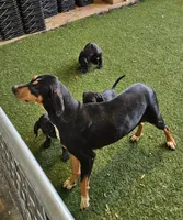 processed/f22e2a9b-5332-4db8-8590-408eab98032d/listing/7eaf5a20-1f06-45bc-8e7b-7f07b1ac814d/790bbad7-9331-4563-abbc-211523c1b63d