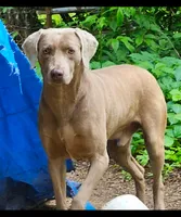 processed/f22e2a9b-5332-4db8-8590-408eab98032d/listing/7eaf5a20-1f06-45bc-8e7b-7f07b1ac814d/95c6fa8e-911c-4f29-bb4e-e7a12ec78323