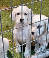 processed/f22e2a9b-5332-4db8-8590-408eab98032d/listing/7ec6b24a-33e8-4f0a-80df-a1fbd4420add/3ecc12a5-3c16-4e6a-aa8e-1b09743ddd11