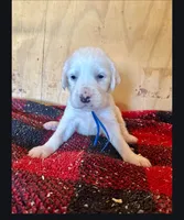 processed/f22e2a9b-5332-4db8-8590-408eab98032d/listing/7ec6b24a-33e8-4f0a-80df-a1fbd4420add/53d38cf0-d0e0-4c5c-b90b-c7caa98e6774