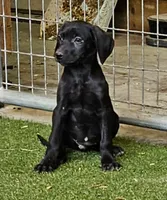 processed/f22e2a9b-5332-4db8-8590-408eab98032d/listing/a1cf54f7-f193-46d5-b3b1-f7ead3e50285/2912aa31-00e5-4c3c-8d83-bd521d1ec30e