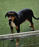 processed/f22e2a9b-5332-4db8-8590-408eab98032d/listing/a1cf54f7-f193-46d5-b3b1-f7ead3e50285/bda0c83f-31e1-4cef-9e18-69671bca46ed