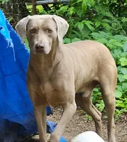 processed/f22e2a9b-5332-4db8-8590-408eab98032d/listing/a1cf54f7-f193-46d5-b3b1-f7ead3e50285/e9c10396-02b8-41c9-bae2-826805f242d9