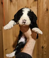 processed/f22e2a9b-5332-4db8-8590-408eab98032d/listing/a369d377-1d66-41a0-8577-11326fb4bc45/78a884fd-4943-4f80-85b9-f3e7b436205e