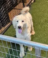 processed/f22e2a9b-5332-4db8-8590-408eab98032d/listing/a54e2f95-5b58-46d3-b70c-05477a4b9975/35c71c77-393c-4f5b-9df7-c5ad5ab3a068