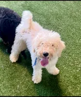 processed/f22e2a9b-5332-4db8-8590-408eab98032d/listing/a54e2f95-5b58-46d3-b70c-05477a4b9975/520a5d8d-88ea-48cf-a420-175eb1f728f7