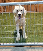 processed/f22e2a9b-5332-4db8-8590-408eab98032d/listing/a54e2f95-5b58-46d3-b70c-05477a4b9975/69de89e4-77e1-47fe-8ac3-65c82b3be735