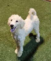 processed/f22e2a9b-5332-4db8-8590-408eab98032d/listing/a54e2f95-5b58-46d3-b70c-05477a4b9975/f1ec0487-8fd5-4377-a54f-ec143b7766b4