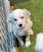 processed/f22e2a9b-5332-4db8-8590-408eab98032d/listing/b5890c21-5098-4b48-8f8e-aec3fdbb9507/2b8d6e1f-3684-4b46-bed8-b9a2c74e2981