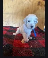 processed/f22e2a9b-5332-4db8-8590-408eab98032d/listing/b5890c21-5098-4b48-8f8e-aec3fdbb9507/ab64c136-023d-47ec-bf64-886c8191829a