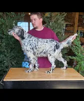 processed/f22e2a9b-5332-4db8-8590-408eab98032d/listing/b5890c21-5098-4b48-8f8e-aec3fdbb9507/fb34374e-edc7-40d5-8423-cb73346da526