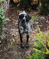 processed/f22e2a9b-5332-4db8-8590-408eab98032d/listing/cc0423c4-8f23-477b-808c-e0f7fd52c703/4c70bcf3-d955-4ef0-a1e2-6b668e32035f