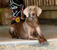 processed/f22e2a9b-5332-4db8-8590-408eab98032d/listing/cc0423c4-8f23-477b-808c-e0f7fd52c703/d0f09b55-c920-4b85-9cf7-9725f6232da2