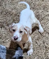 processed/f22e2a9b-5332-4db8-8590-408eab98032d/listing/e6b77406-e6c5-439e-bb40-8626967777a6/68657330-af6d-441f-80d5-e9afa234b33e