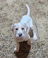 processed/f22e2a9b-5332-4db8-8590-408eab98032d/listing/e6b77406-e6c5-439e-bb40-8626967777a6/7e8d27f2-613e-4083-9d21-8faecbab304c