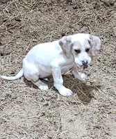 processed/f22e2a9b-5332-4db8-8590-408eab98032d/listing/e6b77406-e6c5-439e-bb40-8626967777a6/888b7529-a86a-4f3e-afd0-01de629e7c80