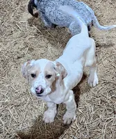 processed/f22e2a9b-5332-4db8-8590-408eab98032d/listing/e6b77406-e6c5-439e-bb40-8626967777a6/9dbcdd96-1c83-429e-b01d-4fca18c18afc