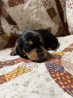 processed/f23763b9-b76e-453f-bcea-3cc6ef22c159/listing/24709985-1d09-467f-bab4-93138055757f/4bb9bfac-7940-415f-b5e9-fe97c1f9b13b