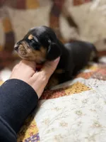 processed/f23763b9-b76e-453f-bcea-3cc6ef22c159/listing/24709985-1d09-467f-bab4-93138055757f/b66354ae-0232-42cd-a1be-1f4d173fa1be