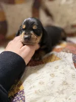 processed/f23763b9-b76e-453f-bcea-3cc6ef22c159/listing/24709985-1d09-467f-bab4-93138055757f/c500fd43-ca91-4cb4-a75e-40eb287804c0