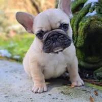 processed/f2425f60-efd2-448d-80b0-e1eadba984d9/facility/0e2541b5-ca2c-463d-af85-06d3984afb44