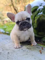 processed/f2425f60-efd2-448d-80b0-e1eadba984d9/facility/0e2541b5-ca2c-463d-af85-06d3984afb44