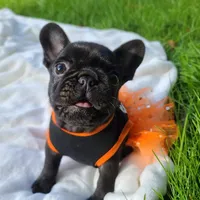 processed/f2425f60-efd2-448d-80b0-e1eadba984d9/facility/2f5f7ed0-27c4-427a-9205-bbfb3fb9d342