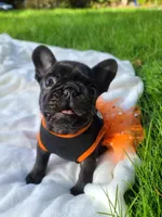 processed/f2425f60-efd2-448d-80b0-e1eadba984d9/facility/2f5f7ed0-27c4-427a-9205-bbfb3fb9d342