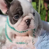 processed/f2425f60-efd2-448d-80b0-e1eadba984d9/facility/33804ec6-1f2e-43fd-b89d-a4e744c406b5