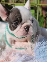 processed/f2425f60-efd2-448d-80b0-e1eadba984d9/facility/33804ec6-1f2e-43fd-b89d-a4e744c406b5