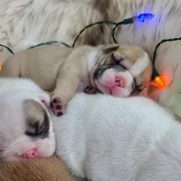 processed/f2425f60-efd2-448d-80b0-e1eadba984d9/facility/345d5b54-f46f-4c96-af49-0d3bd58129d3