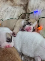 processed/f2425f60-efd2-448d-80b0-e1eadba984d9/facility/345d5b54-f46f-4c96-af49-0d3bd58129d3