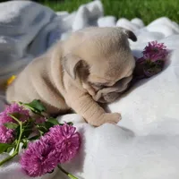 processed/f2425f60-efd2-448d-80b0-e1eadba984d9/facility/3a8d3b7b-5b84-4926-a35e-64969b69ff7b