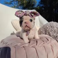 processed/f2425f60-efd2-448d-80b0-e1eadba984d9/facility/5149c137-763c-4b1a-9512-5e737174b5de