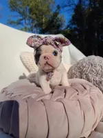 processed/f2425f60-efd2-448d-80b0-e1eadba984d9/facility/5149c137-763c-4b1a-9512-5e737174b5de