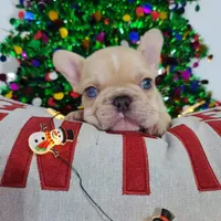 processed/f2425f60-efd2-448d-80b0-e1eadba984d9/facility/6ba2e4c0-4888-41f6-bffb-40f2992a9153