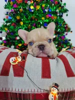 processed/f2425f60-efd2-448d-80b0-e1eadba984d9/facility/6ba2e4c0-4888-41f6-bffb-40f2992a9153