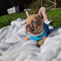 processed/f2425f60-efd2-448d-80b0-e1eadba984d9/facility/9291990b-0173-429a-b32e-56cfaf61088a