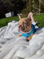 processed/f2425f60-efd2-448d-80b0-e1eadba984d9/facility/9291990b-0173-429a-b32e-56cfaf61088a