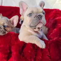 processed/f2425f60-efd2-448d-80b0-e1eadba984d9/facility/cf8145d0-720f-4a6d-ad46-0d61dfb07410