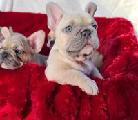 processed/f2425f60-efd2-448d-80b0-e1eadba984d9/facility/cf8145d0-720f-4a6d-ad46-0d61dfb07410