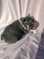 processed/f2425f60-efd2-448d-80b0-e1eadba984d9/listing/fd666e38-ecd2-45ae-8d22-e441cdec4dfd/07c1c7ce-bccb-4341-ac0e-240350d8b2a3