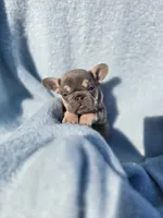 processed/f2425f60-efd2-448d-80b0-e1eadba984d9/listing/fd666e38-ecd2-45ae-8d22-e441cdec4dfd/5ccbefe4-0a73-4943-9248-b30c1dd978bc